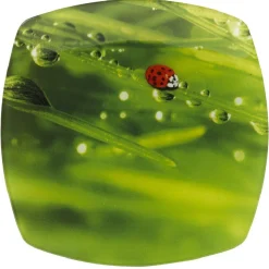 Gifi Assiette à dessert carrée verte design coccinelle