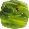 Gifi Assiette plate carrée verte design coccinelle