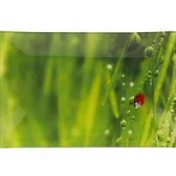 Gifi Assiette plate rectangulaire verte design coccinelle