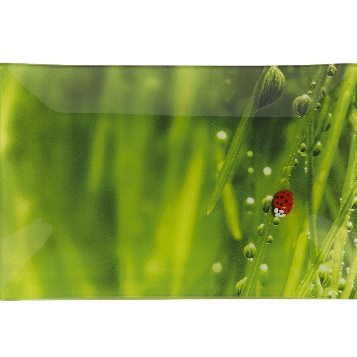 Gifi Assiette plate rectangulaire verte design coccinelle