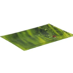 Gifi Assiette plate rectangulaire verte design coccinelle