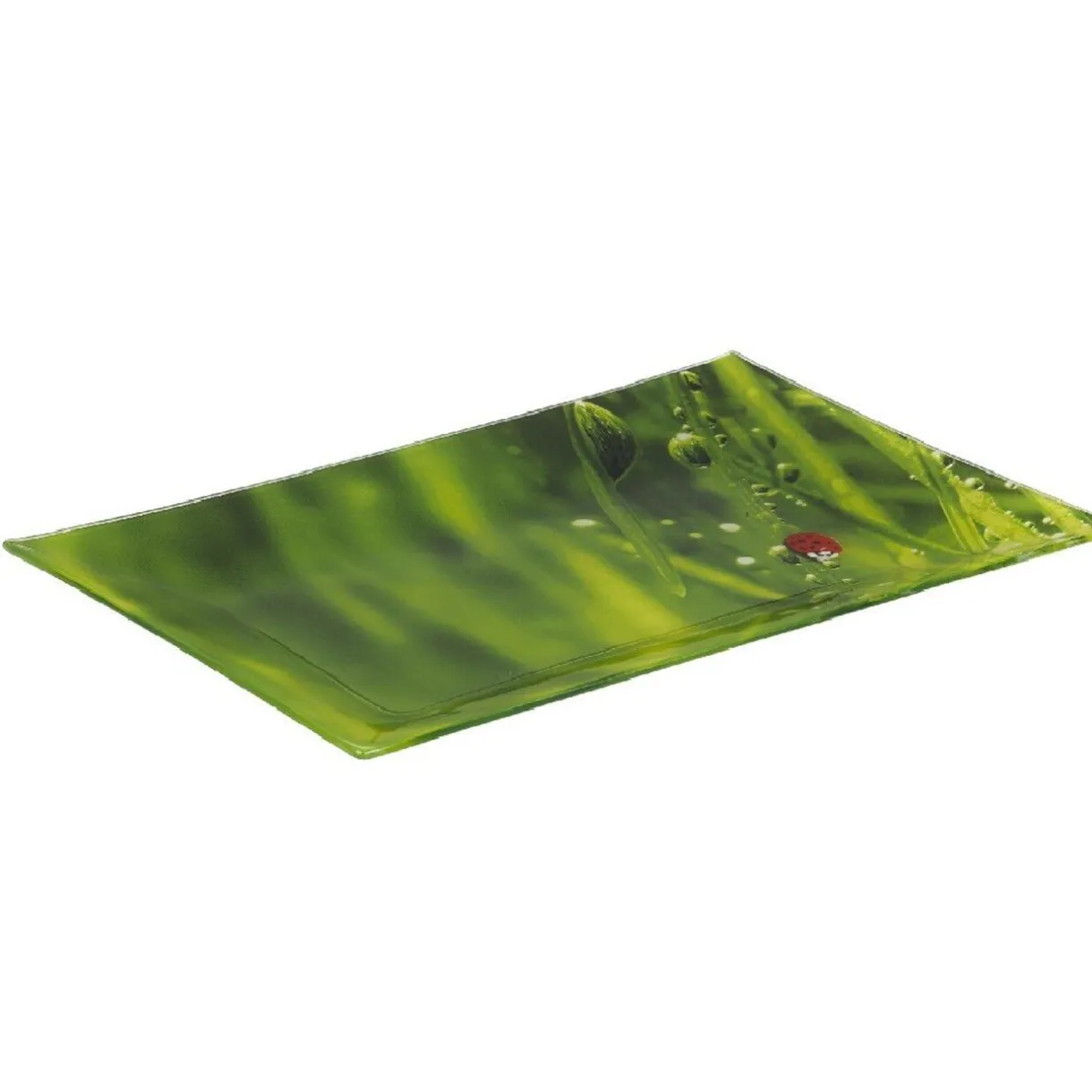 Gifi Assiette plate rectangulaire verte design coccinelle