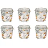 Gifi Bocal à conserve avec fermeture à clapet 350 ml x 6