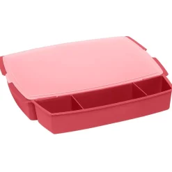 Gifi Boîte plastique spécial barbecue x2 Sale