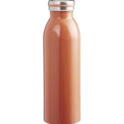 Gifi Bouteille isotherme inox uni 500 ml Best