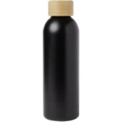 Gifi Bouteille isotherme inox double paroi 50cl Ø7,3xH23,5cm