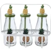 Gifi Bouteilles x3 avec pailles design exotique x3 panier métal blanc
