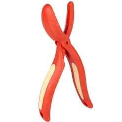 Gifi Coupe chataignes rouge et jaune