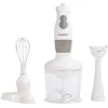 Gifi Mixeur 3 en 1 Homday