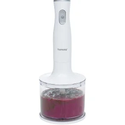 Gifi Mixeur plongeur Homday 2en1 200W Sale