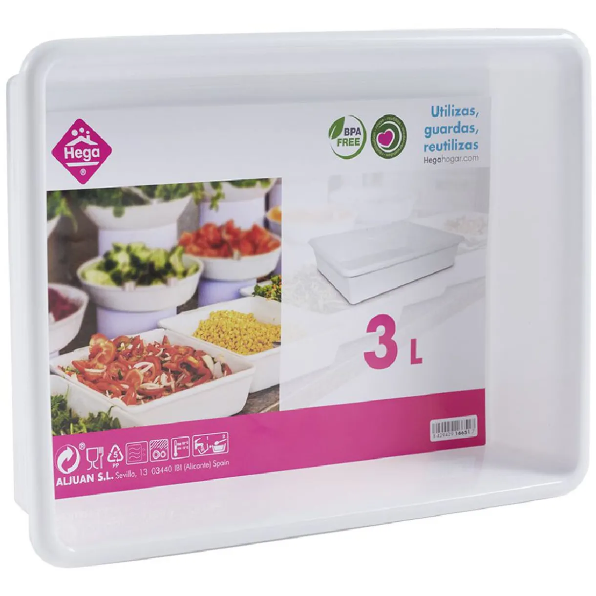 Gifi Plateau rectangulaire plastique blanc 3L
