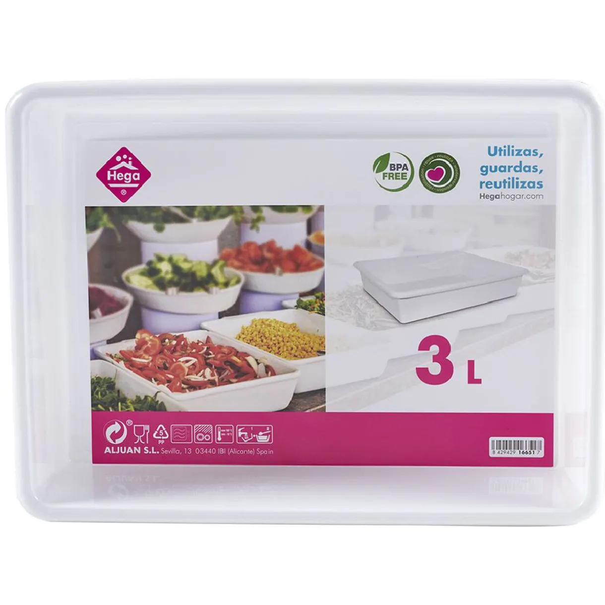 Gifi Plateau rectangulaire plastique blanc 3L