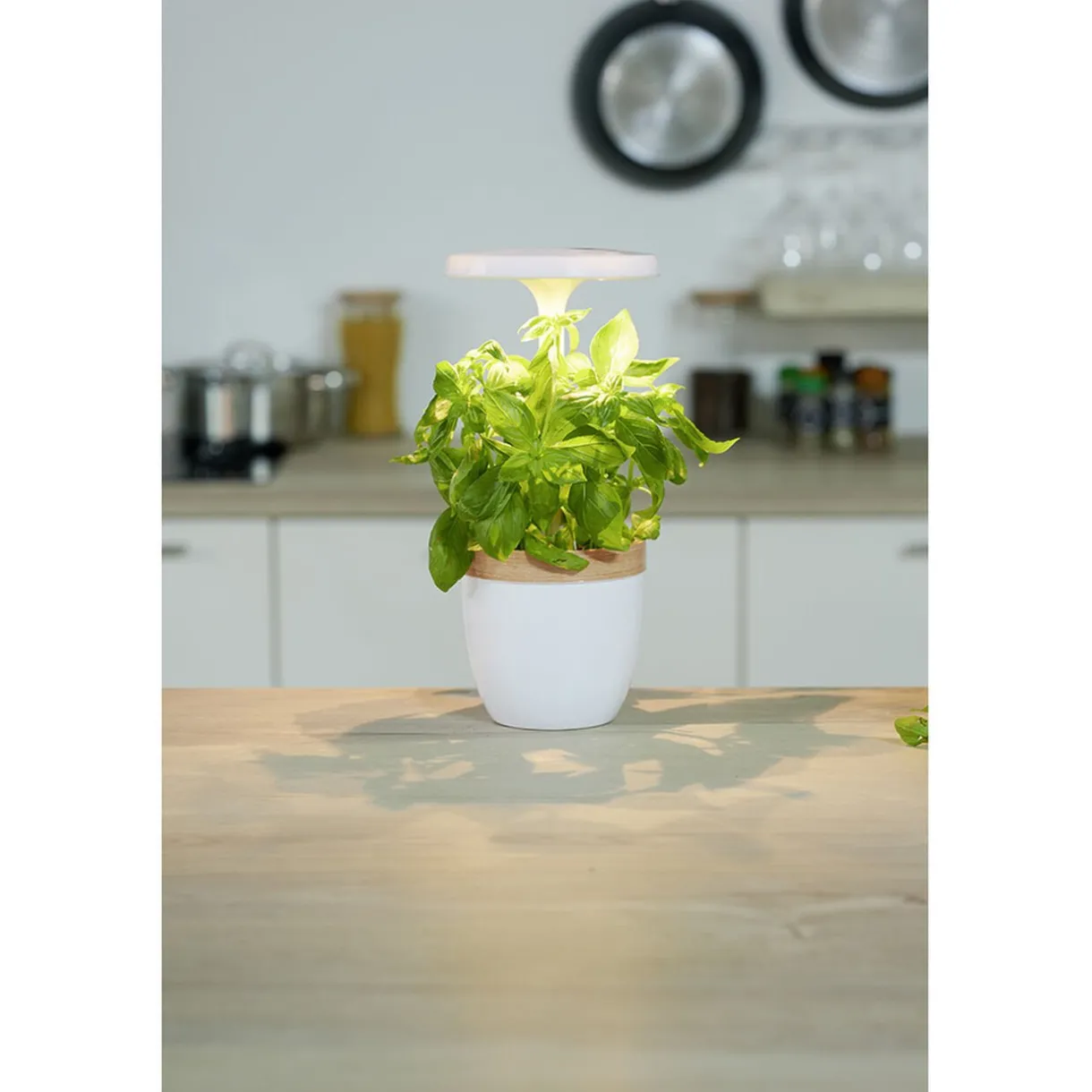 Gifi Potager d'intérieur à éclairage led CECOA
