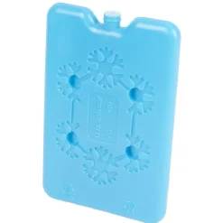 Gifi Sac fraîcheur lunch box avec bloc de glace Best