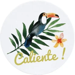 Gifi Sous verre design tropical x6 Discount
